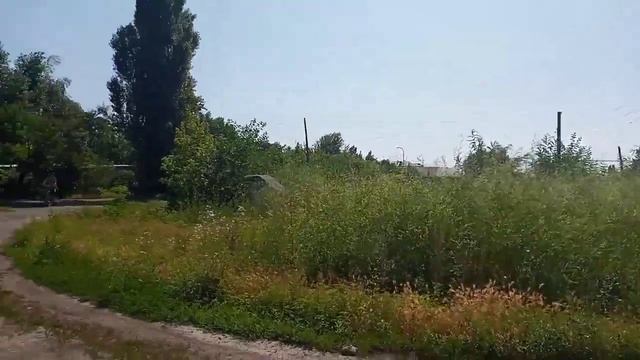 Новодружеск тонет в зарослях смотреть онлайн