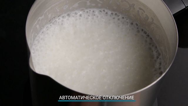 Капучинатор Zigmund & Shtain ZMF-451