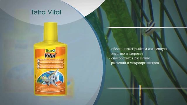 Как ухаживать за аквариумом с живыми растениями. смотреть онлайн