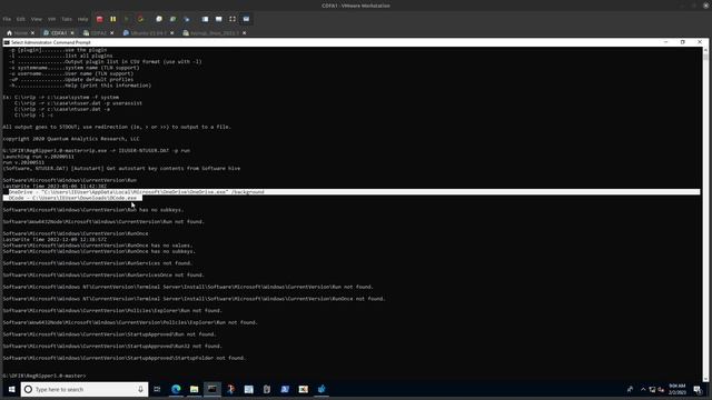 Parsing Run Keys using RegRipper смотреть онлайн