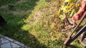 Быстрое снятие внешней уплотнительной резинки (бархотки) стекла Форд Фокус 3