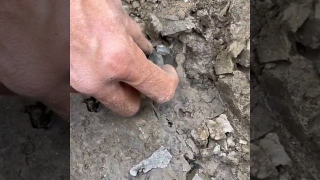 Uncovering Hidden Diamond Treasures: A Mining Adventure #shorts #diamond #treasurehunter #mining смотреть онлайн