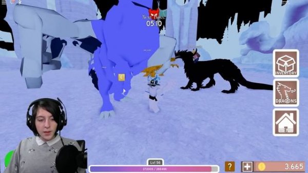 ROBLOX DRAGON ADVENTURES WINTER EVENT! Aurora Borealis Element, FROSTBITE How to FIGHT BOSS!
