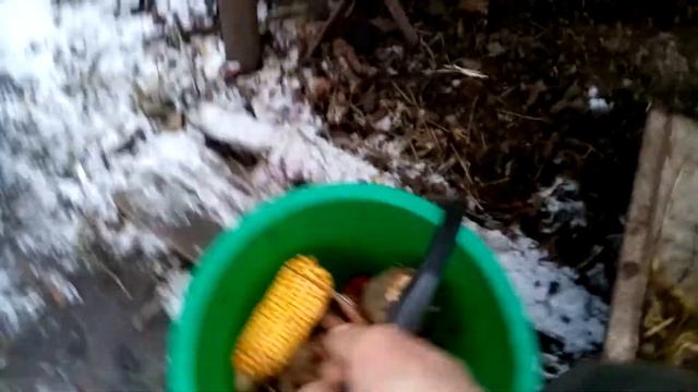 Кролики - это не только...11 серия (19.12.21) о выращивании и уходе за кроликами в домашних условия смотреть онлайн