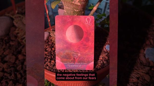 Your oracle card of the day - Last Quarter Moon in Leo смотреть онлайн