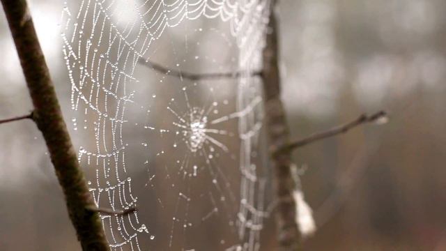 " Как Трудно " Лирика : Laura Karina Host / Музыка : Георгий Мовсесян смотреть онлайн