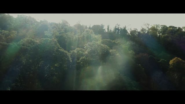 Introducing our newest, most sustainable collection yet - Coriander Seed, Geranium & Vetiver | ANAM смотреть онлайн