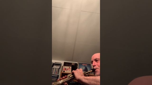 Not circular breathing Sopranino sax смотреть онлайн