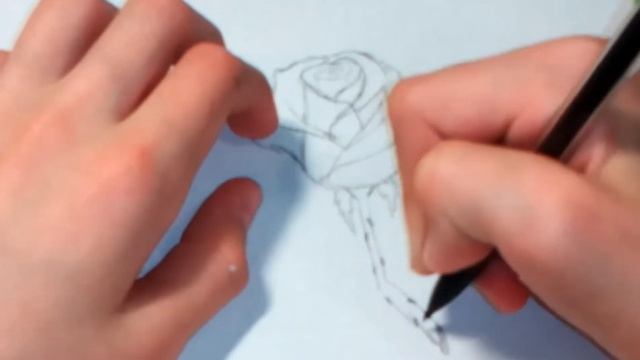 Рисуем розу карандашом, обучение | Как нарисовать розу карандашом? смотреть онлайн