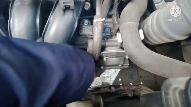 ? | Letak Nomor Mesin Xpander|| #xpander  #mitsubishi