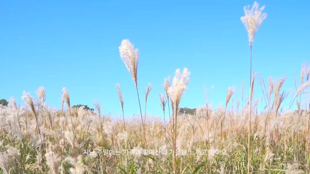 [SUB] florist vlog 꽃집일상 저의 하루를 소개합니다 смотреть онлайн