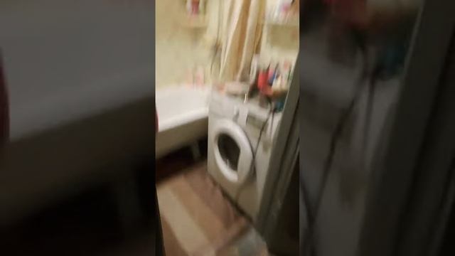 цвет сума сошол а абасрался когда увидил
