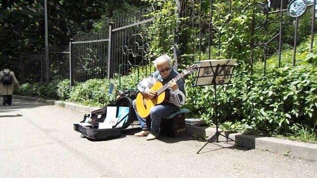 Мохнатый шмель GUITAR оранжировка, исполнитель VOLODJA POLJAKOV (play and cover) смотреть онлайн