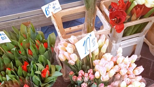 Самый известный цветочный базар Ниццы ??Карнавал 2022 стартовал! ??✌️ смотреть онлайн