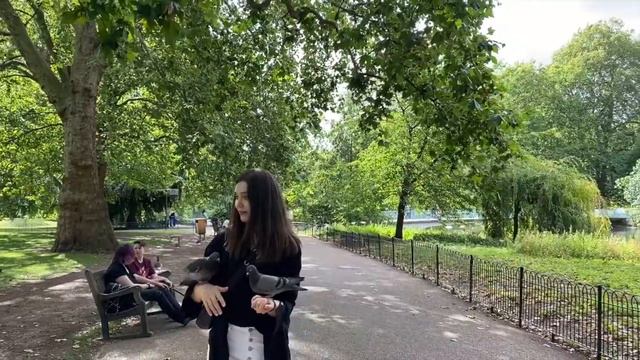 [ENG SUB] বাকিংহ্যাম প্যালেস | London Vlog: Buckingham Palace, St James's Park & Green Park смотреть онлайн