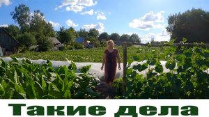 Копнул первой картошечки, борщевик - все и работаю в пристройке без вложений!