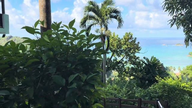 Часть 2 ОСТРОВ ПРАСЛИН СЕЙШЕЛЫ. ОТЕЛИ НА ПРАСЛИНЕ, ЛУЧШИЕ И ХУДШИЕ ПЛЯЖИ.#островпраслин #сейшелы смотреть онлайн