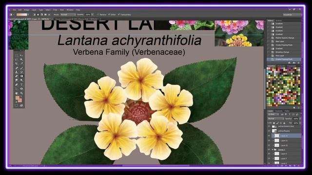 Desert Lantana (Adobe Photoshop Timeplapse) Speed Paint смотреть онлайн