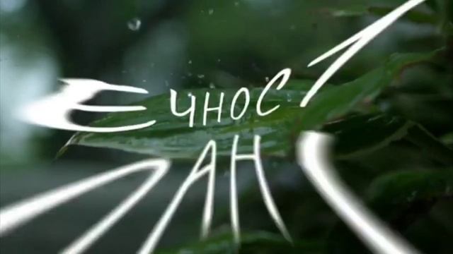 Се Грядый во Имя Отца и Сына и Святого Духа: Отец во мне и Я в нем(больше 2 х) там и 3- Святый Дух смотреть онлайн