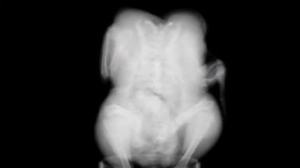 Fun with applied science [y8gUvbpE2O0]