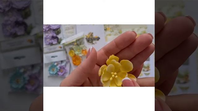 Обзор коллекций Flowers Symphony и Spring Holidais от Dream Light Studio смотреть онлайн