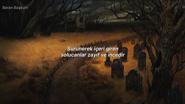 Rusty Cage - The Hearse Song
(Türkçe Çeviri) смотреть онлайн