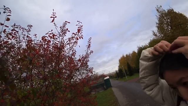 Гуляем по паркам. Встретили белок и прикормили их смотреть онлайн