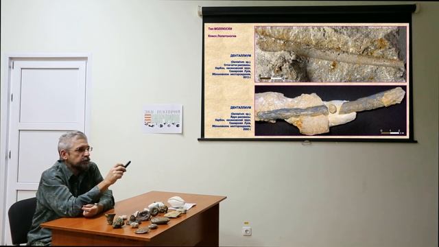 Ископаемые беспозвоночные Самарской области Эко-лекторий 2022-17 Дмитрий Варенов смотреть онлайн