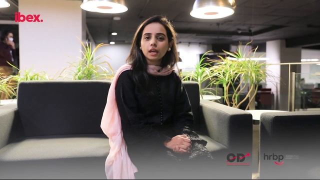 ibex. Agent Essentials смотреть онлайн