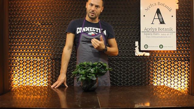 #CoşkunAkademi | Gardenya (Gardenia) Toprağı Nasıl Değiştirilir? | Bakımı Nasıl Yapılır? смотреть онлайн