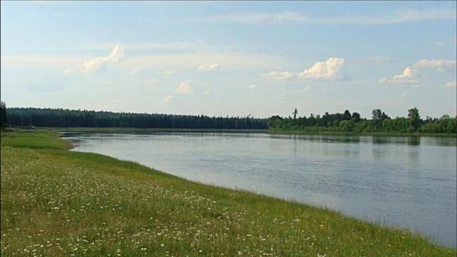 Шиткино смотреть онлайн