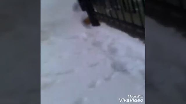 Гуляем за школой развлечения смотреть онлайн