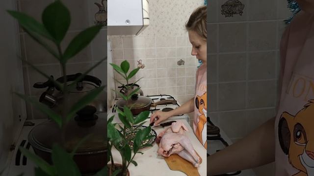 Выбираем правильную курицу. Куриный бульон.