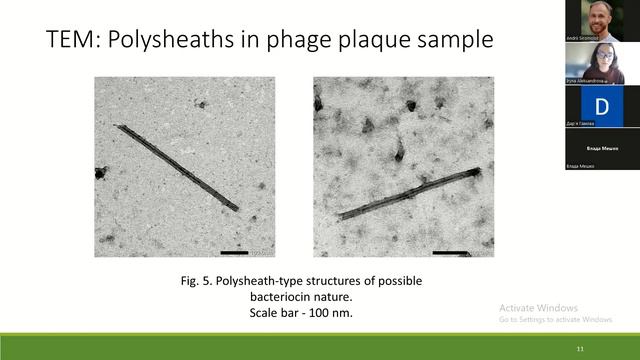 Microbiology section. Hamova D. #microbiology #sceince #conference #kyiv #ukraine #knu смотреть онлайн