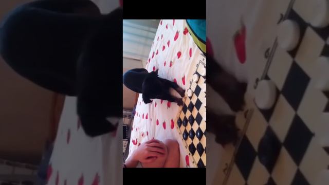 5 ноября 2022 г. смотреть онлайн