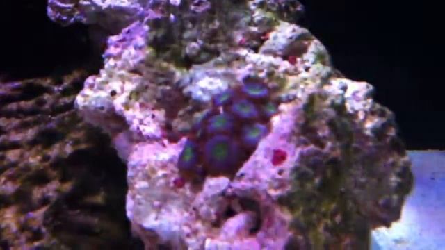Marine Tank Part 1 смотреть онлайн