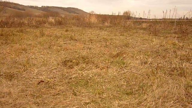 ОКОТ!Как действовать! смотреть онлайн