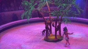 ВЛОГ  Омский цирк! Тайна новогодней звезды! Мы восторге!