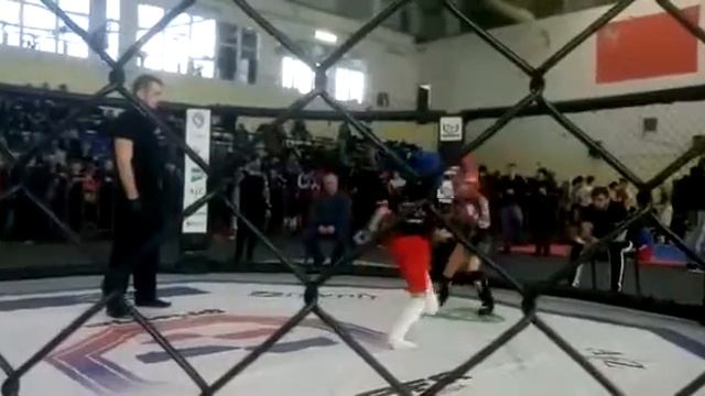 Первенство Московской области по ММА смотреть онлайн