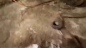 разборка рычагов и резьбовых втулок