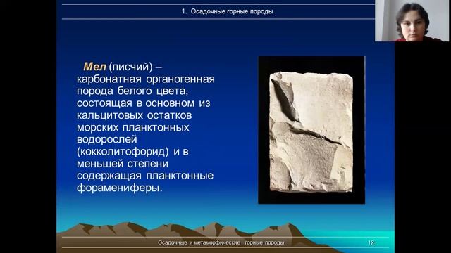 Лабораторная работа №6 Петрорафия