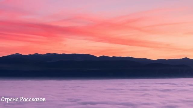 -Ну, погоди муженёк, ты меня плохо знаешь! - обиженая жена знала как постоять за себя и сына... смотреть онлайн