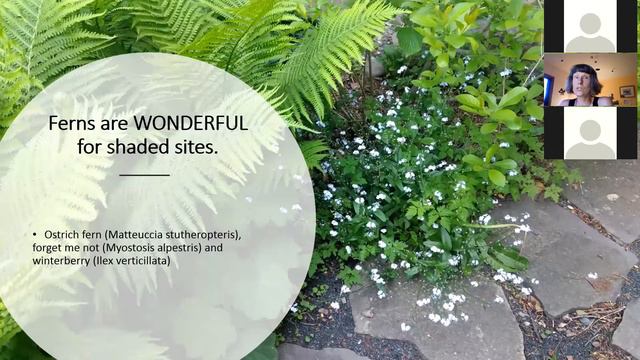Working with Your Landscape: Planting and Care of Native Plants смотреть онлайн