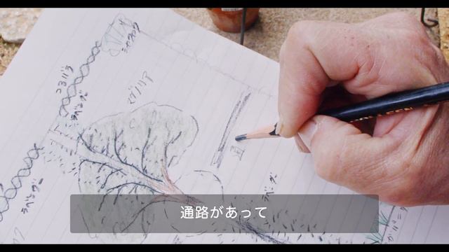 耕作放棄地に畑を作ります・私にとって理想の畑ってなんだろう？ смотреть онлайн