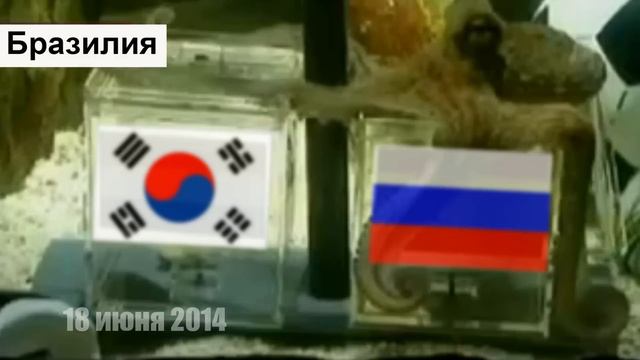 Футбол ЧМ 2014 Россия- Южная Корея предсказание внука Пауля смотреть онлайн