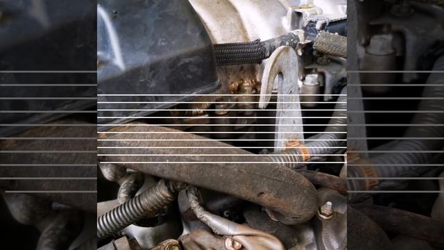 Проверка Секвойи. смотреть онлайн