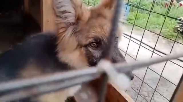 Утро раннее..После обеда ушла погулять,и забыла про время... смотреть онлайн