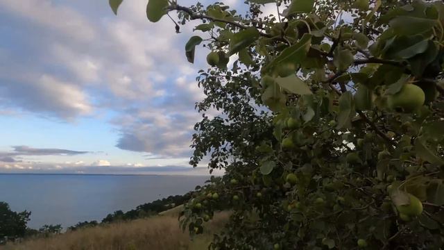 Ураган в Саратовской области, красоты Мордовии и прочие космические пейзажи смотреть онлайн