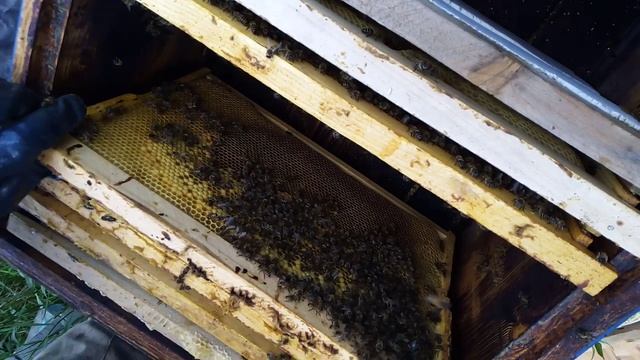 Отводок смотреть онлайн