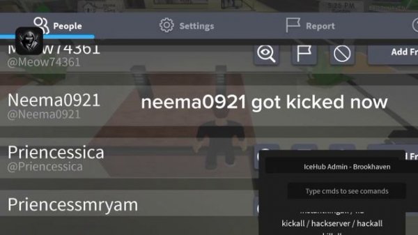 Brookhaven IceHub Admin Script fluxus/hydrogen/delta/arceusx